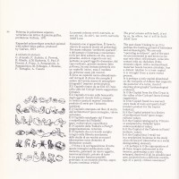 capitello.-colonna.-bicchiere.-ordinatissimo_0001